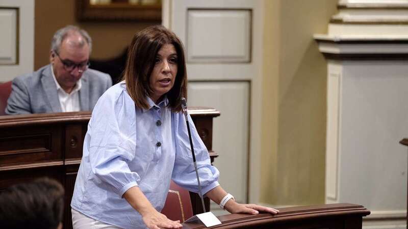 Carmen Hernández durante una intervención en el Parlamento de Canarias (Foto TA)